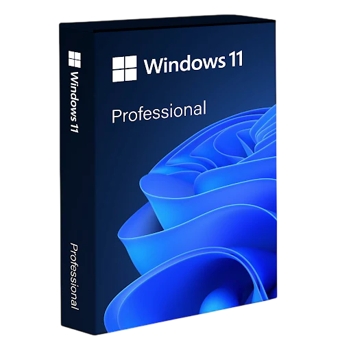 win11